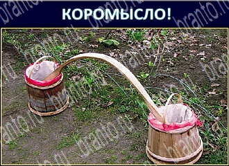 ответы на игру Экстрасенс уровень 110