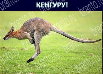 ответы на игру Экстрасенс уровень 116