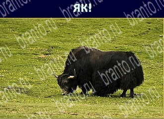 Игра Экстрасенс ответы уровень 118