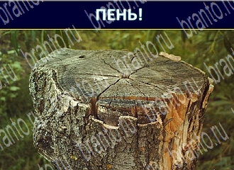 ответы на игру Экстрасенс уровень 121