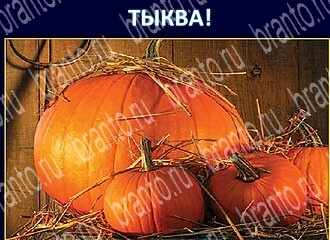 помощь на игру Экстрасенс в одноклассниках уровень 123