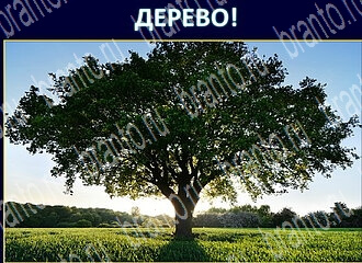 игра Экстрасенс ответы в одноклассниках уровень 126