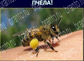 Экстрасенс игра ответы Одноклассники уровень 133