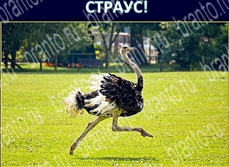 ответы на игру Экстрасенс уровень 140