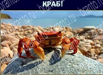 ответы на игру Экстрасенс уровень 144