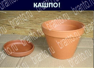 Экстрасенс ответы на игру уровень 147