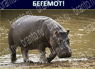 Игра Экстрасенс ответы уровень 148