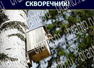 подсказки на игру Экстрасенс уровень 152