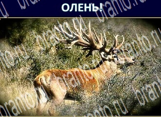 ответы на игру Экстрасенс уровень 176