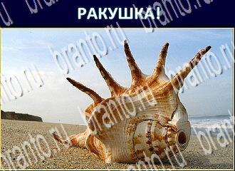 Игра Экстрасенс ответы уровень 178