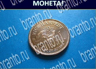 ответы на игру Экстрасенс уровень 202