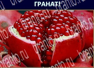 ответы на игру Экстрасенс уровень 206