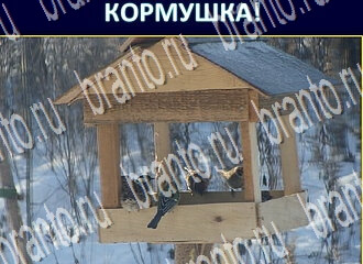 Игра Экстрасенс ответы уровень 208