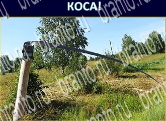 игра Экстрасенс помощь ВК уровень 218