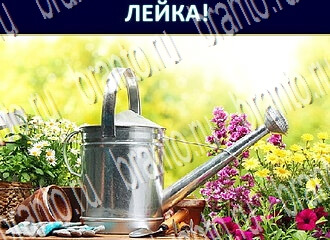 игра Экстрасенс відповіді в одноклассниках уровень 220