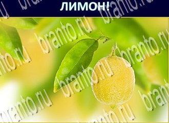 игра Экстрасенс відповіді в одноклассниках уровень 221