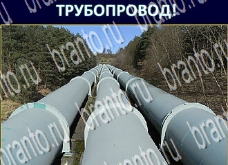 Экстрасенс ВК ответ на уровень 233