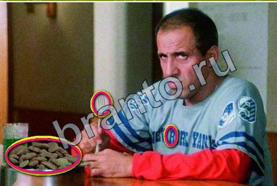 Игра Фотоляпы прохождение Уровень 320