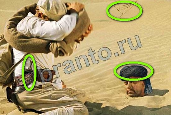 ответы на игру Фотоляпы Уровень 339