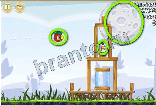 ответы к игре найди Фотоляпы Уровень 346