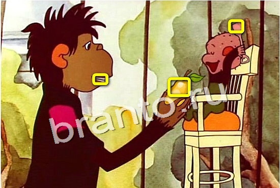 ответы на игру Фотоляпы Уровень 450