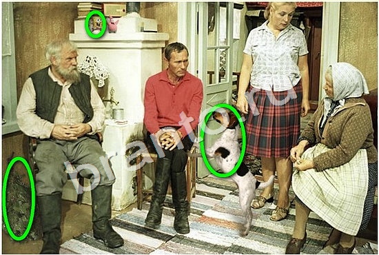 Ключи на игру Найди Фотоляпы Уровень 503