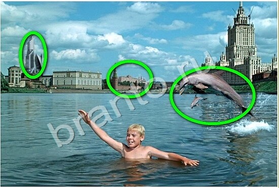 Игра Фотоляпы ответы Уровень 517