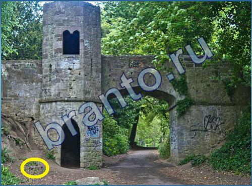 решебник на игру Что-то тут не так Уровень 161