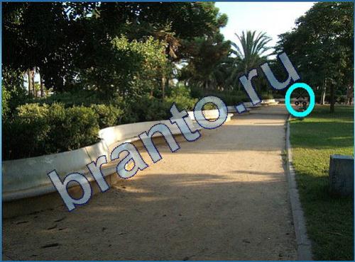 Игра Что-то тут не так подсказки Уровень 168