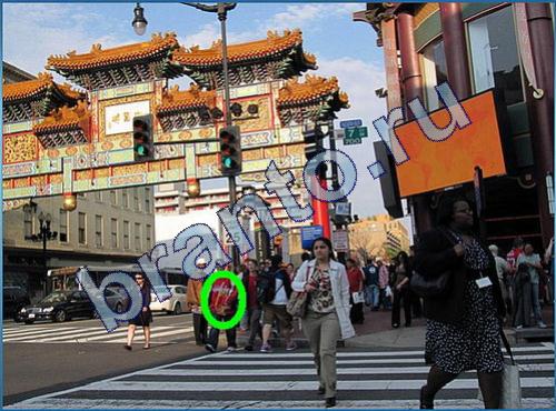 ответы для игры Что-то тут не так Уровень 177