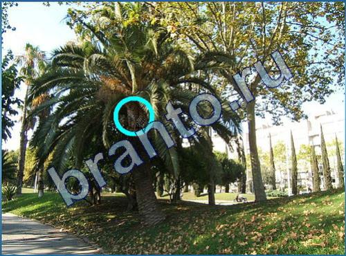 Что-то тут не так игра ответы Уровень 179