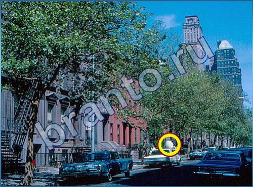 найди Что-то тут не так в одноклассниках ответы Уровень 183