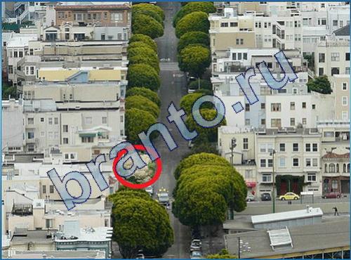 ответы на игру найди Что-то тут не так Уровень 184