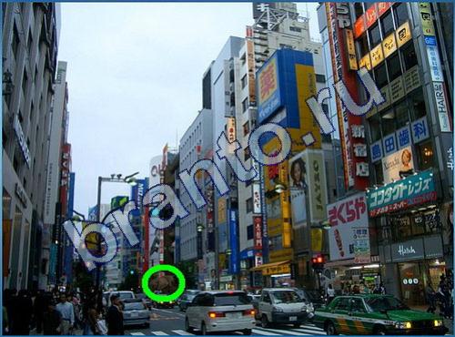 сборник ответы найди Что-то тут не так Уровень 185