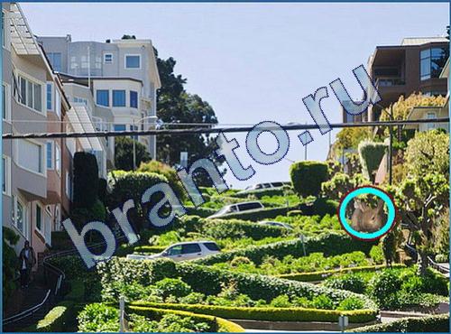 ответы на игру Что-то тут не так уровень 200