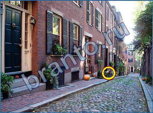 Решения на игру Что-то тут не так Уровень 203