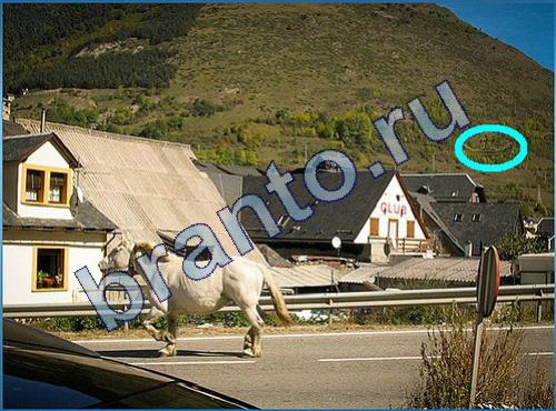 решебник на игру Что-то тут не так Уровень 211