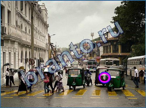 Игра Что-то тут не так подсказки Уровень 218