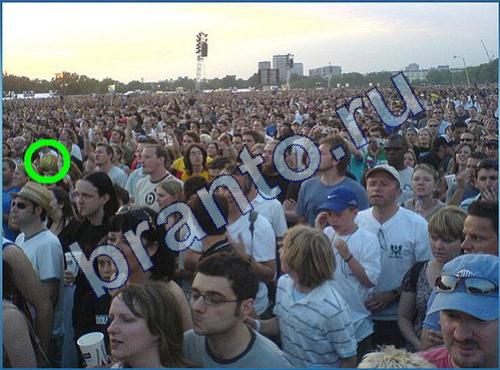 Игра Что-то тут не так прохождение Уровень 220