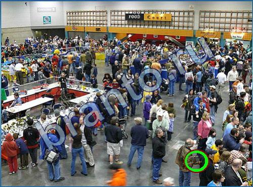 Что-то тут не так прохождение игры Уровень 222