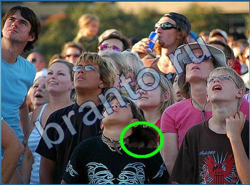 ответы на игру Что-то тут не так в одноклассниках Уровень 223