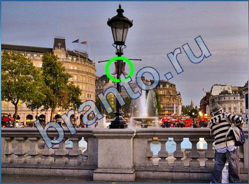 ответы Что-то тут не так Уровень 225