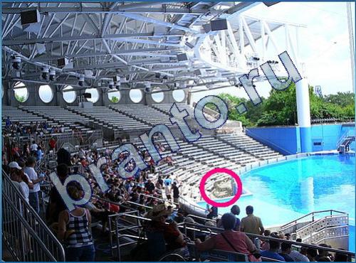 решения для игры Что-то тут не так Уровень 228