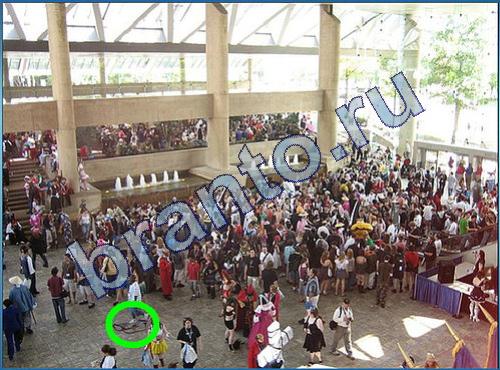 Что-то тут не так игра ответы Уровень 229