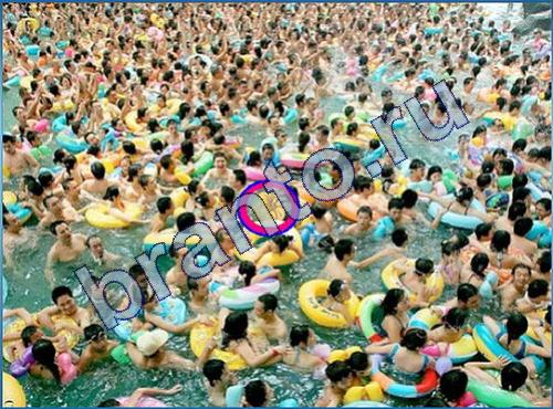 найди Что-то тут не так в одноклассниках ответы Уровень 233