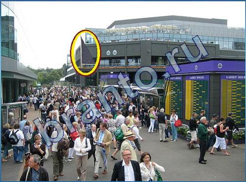 ответы на игру Что-то тут не так Уровень 239