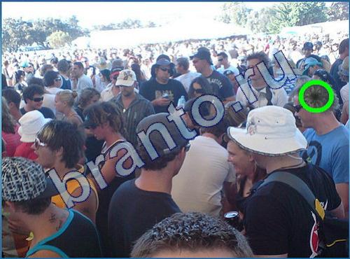 ответы на игру Что-то тут не так Уровень 243