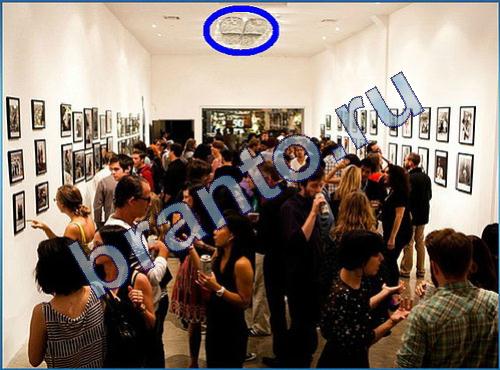 Что-то тут не так игра ответы Уровень 248