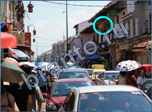 ответы на игру Что-то тут не так уровень 250