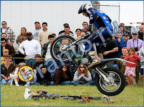 Что-то тут не так игра подсказки Уровень 264